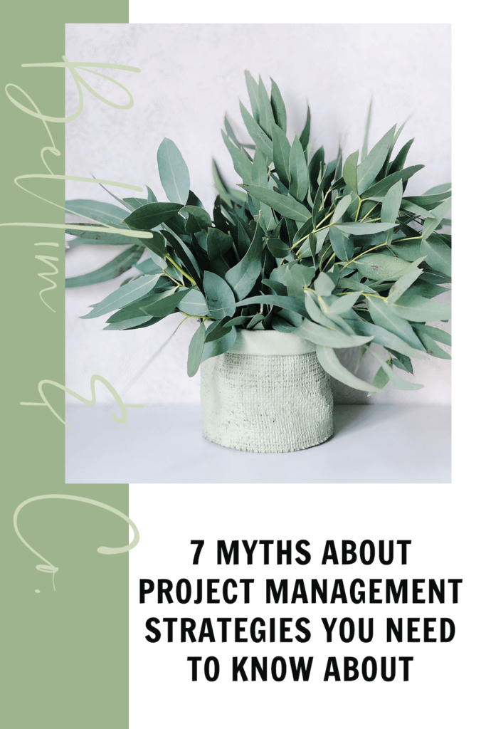 7 Myths About Project Management Strategies You Need To Know About | Tatiana Belim