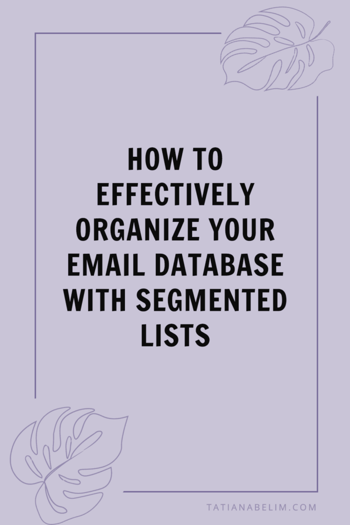 How to Effectively Organize Your Email Database With Segmented Lists | Tatiana Belim